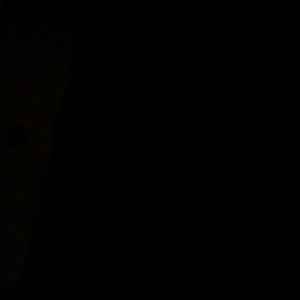 Meet your Posher, Jake